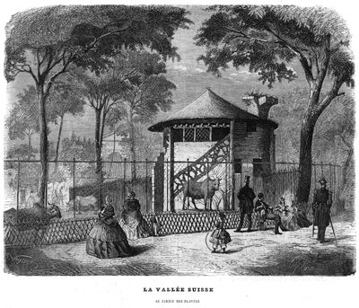 De Zwitserse vallei in de plantentuin in Parijs in 1858. door Unknown artist