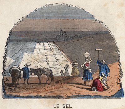 De zoutwinning. 19e-eeuwse illustratie. Bianchetti Collectie door Unknown artist