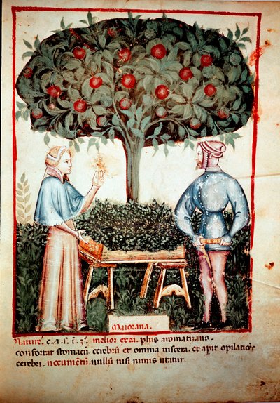 De verzameling van de marjolein door Unknown artist