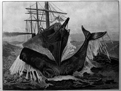 De botsing tussen een boot en een slapende walvis door Unknown artist