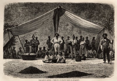 De gemeenschappelijke maaltijd van de arbeiders na het verzamelen van koffiebonen, die op de grond drogen op de voorgrond; in het midden van de afbeelding, de eigenaar van de plantage sluit en draagt een witte hoofdbedekking. Gravure ter illustratie van de door Unknown artist