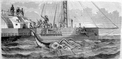 De eerste reuzeninktvis gevangen in 1861 door de Franse korvet Alecton. Toen de bemanning hem aan boord hijste, brak hij doormidden en verdween naar de bodem van de zee. Gravure uit het einde van de 19e eeuw door Unknown artist