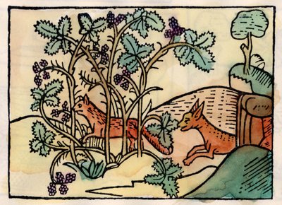 De vos en de druiven door Unknown artist