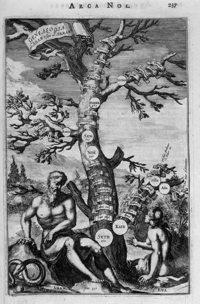 De genealogische boom van Adam tot Abraham - bijbel door Unknown artist