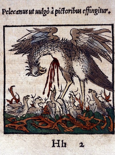 De legende van de pelikaan: hij geeft zijn bloed en ingewanden om zijn jongen te voeden. Uit Historiae animalium door Konrad Gesner, Tiguri door Unknown artist