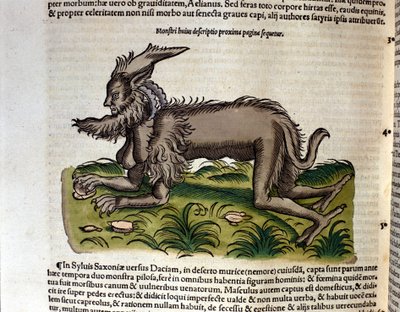 De manticore uit de Historia Animalium door Conrad Gesner, Tiguri 1560. Biblioteca nazionale Braidense, Milaan door Unknown artist