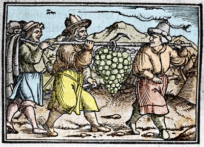 De terugkeer van Jozua en Kaleb met een enorme druiventros uit het land Kanaän (kroniek door Johann Stumpff) door Unknown artist