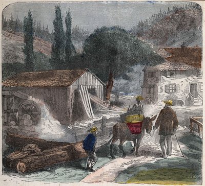 De zagerij. 19e-eeuwse illustratie. Bianchetti Collectie door Unknown artist