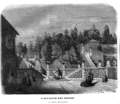 De trap van de kassen in de Jardin des Plantes in Parijs in 1858. door Unknown artist