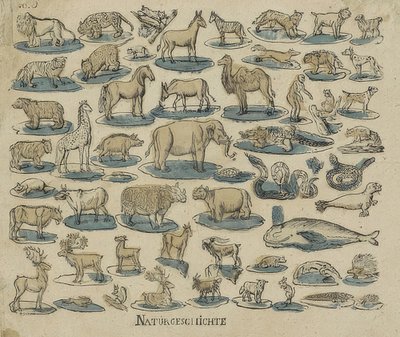 Dieren door Unknown
