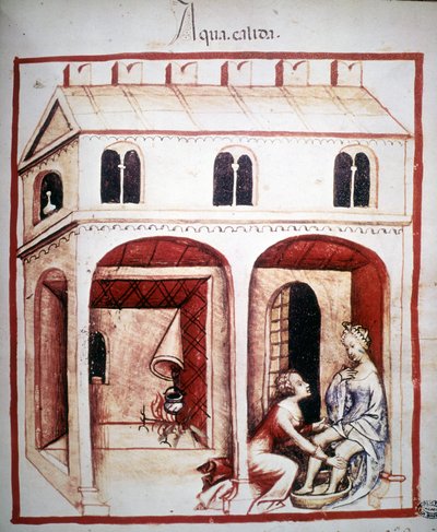 Geneeskundig verhandeling "Tacuinum sanitatis" 14e eeuw: het gebruik van heet water. B.N, Wenen door Unknown artist