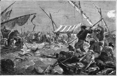 Tonijnvisserij (Pesca al tonno) aan de kust van de Provence. door Unknown artist