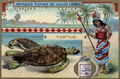 Schildpad, met een vrouw gekleed als een inboorling van Zuid-Amerika, uitgerust met een jachtspeer door Unknown artist