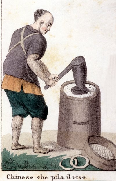 Een Chinees die rijst plundert - in Il costume universale di tutti i popoli del mondo (Het universele kostuum van alle volkeren van de wereld) door Unknown artist