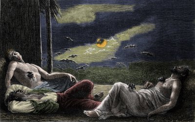 Vampier vleermuis die het bloed van slapende mensen zuigt tijdens volle maan nachten. Gravure van de 19e eeuw door Unknown artist