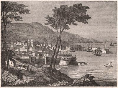 Uitzicht vanaf een beboste heuvel in de stad Barcelona, Catalonië, Spanje door Unknown