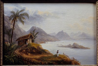 Uitzicht op Martinique door Unknown artist