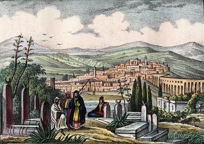 Uitzicht op Medeah, oude Romeinse vesting van Algerije. In 