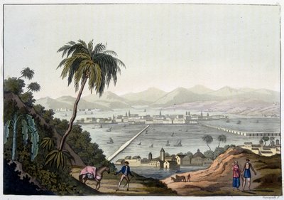 Uitzicht op Mexico-Stad, Mexico. In “Le costume ancien et moderne” door Unknown artist
