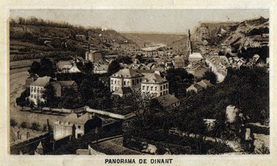 Uitzicht op de stad Dinant, Wallonië, België. Chromolithografie van het einde van de 19e eeuw. door Unknown artist