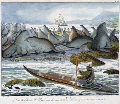 Uitzicht op het eiland St. Paul in de zee van Kamtsjatka met zeeleeuwen door Unknown artist