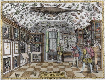 Zicht op het museum (kabinet) van curiositeiten (encyclopedisch museum) van de apotheker Ferrante Imperato (1550 - 1631). Gravure uit 1678. Museum van de Napolitaanse apotheker Ferrante Imperato. door Unknown artist