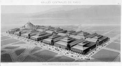 Uitzicht op de lucht van de centrale hallen van Parijs (Balard-paviljoens) - Monografie van de Centrale Hallen van Parijs, door V. Balard door Unknown artist