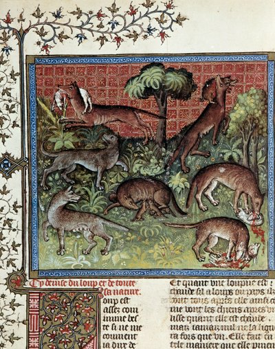 We motten de wolf en al zijn natuur door Unknown artist