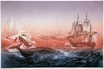 Walvisvaartuig kon zijn omgeslagen boten niet redden door Unknown artist