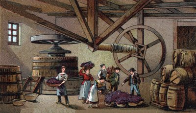 Wijnproductie: wijnpers van het hospice van Beaune (clos vougeot) door Unknown artist