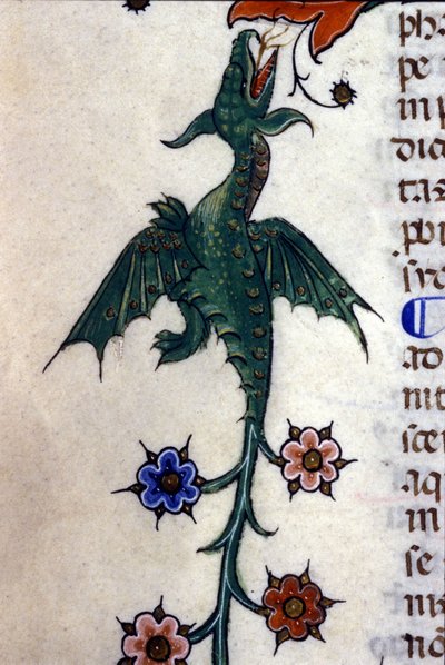 Gevleugelde draak, Caspic, op een 14e eeuws manuscript Milaan, Biblioteca Nazionale Braidense. door Unknown artist