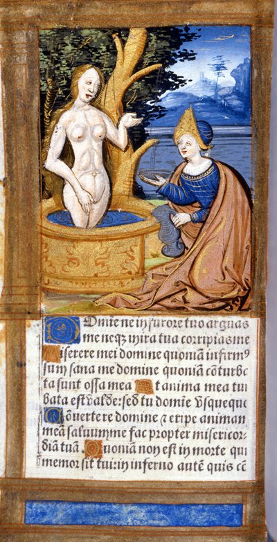 Vrouw bij haar toilet. Pagina van een manuscript uit de Pentateuch. 15e eeuw. Bibl. Braidense, Milaan door Unknown artist