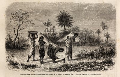 Vrouwen van de oevers van de Zambezi die een hak ontginnen en kinderen introduceren in landbouwarbeid. Gravure ter illustratie van Dr. Livingstone