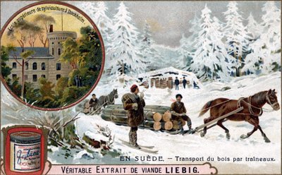 Houttransport per sleeën, Zweden. Chromolithografie, Liebig afbeelding. door Unknown artist