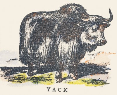 Y: jak door Unknown artist