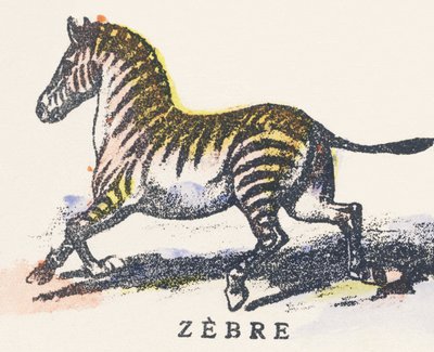 Z: zebra door Unknown artist