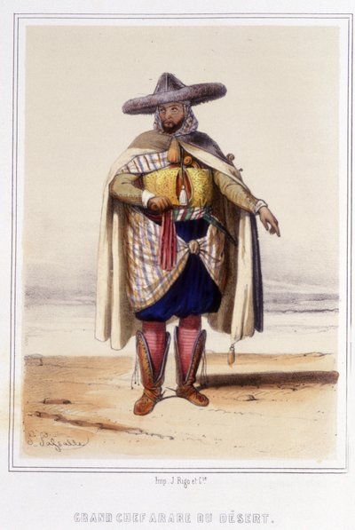 grote Arabische chef van de woestijn tijdens de tweede helft van de 19e eeuw door Unknown artist