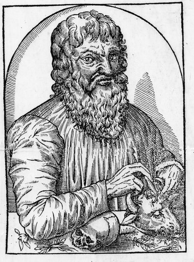 Portret van Hippocrates (460- rond 377 v.Chr.), Griekse arts. door Unknown artist