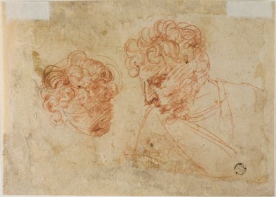 Twee schetsen van hoofden (recto); Twee schetsen van gedrapeerde vrouw (verso) door Unknown Florentine
