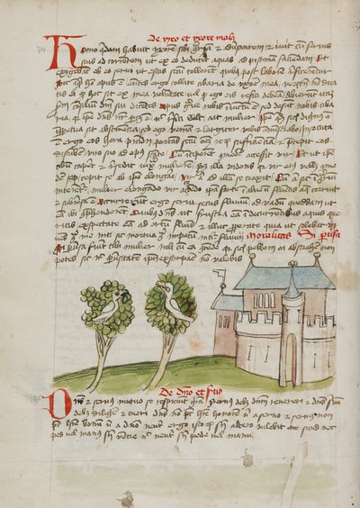 Een vogel in een boom bij een stad door Unknown artist