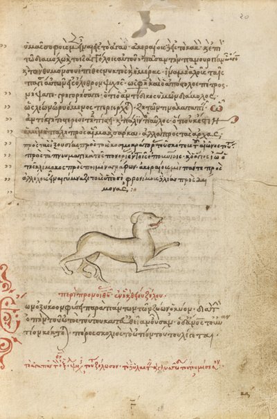 Een hond door Unknown artist