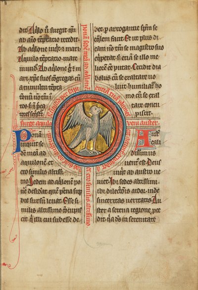 Een valk in een kruis door Unknown artist