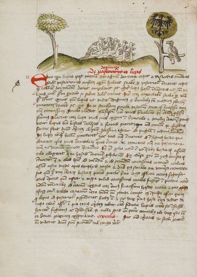 Een zwerm vogels onder een boom inclusief een gekroonde adelaar met een heraldisch blazoen op zijn vleugels door Unknown artist