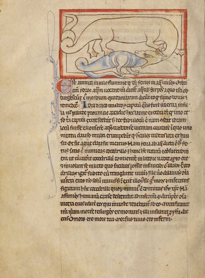 Een Hydrus door Unknown artist