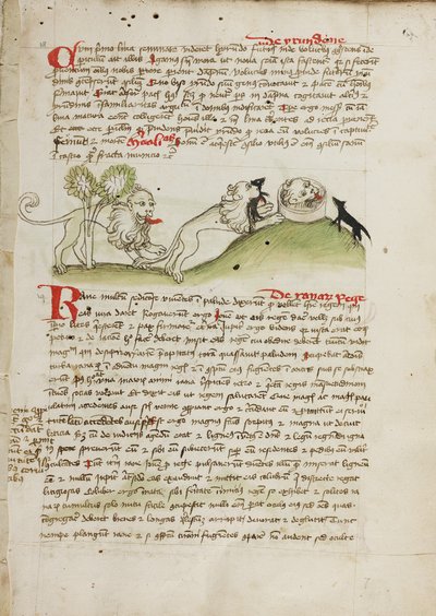 Een leeuw en nog een leeuw met een muis door Unknown artist