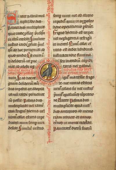 Een medaillon met een tortelduif door Unknown artist