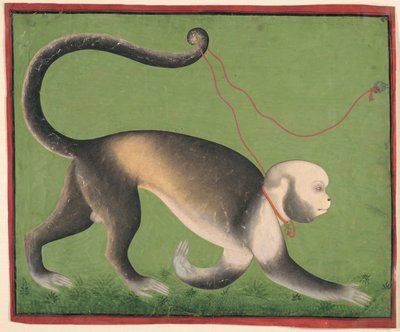 Een monumentaal portret van een aap door Unknown artist