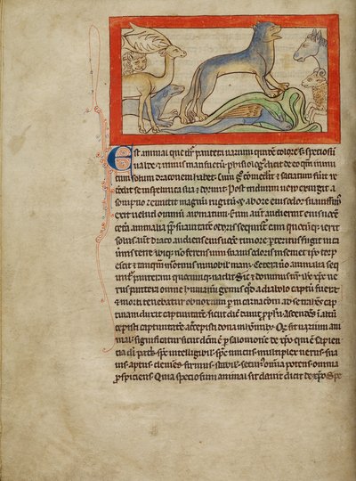 Een panter door Unknown artist