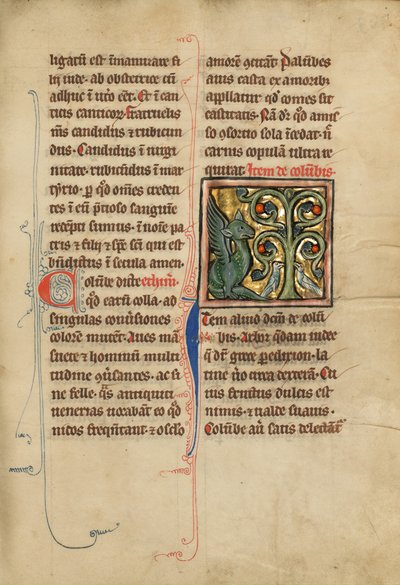 Een peridexionboom door Unknown artist