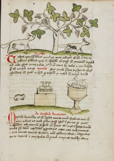 Een wezel en een aantal gevangen muizen door Unknown artist